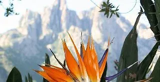 호텔 Colombo- Porto Corse