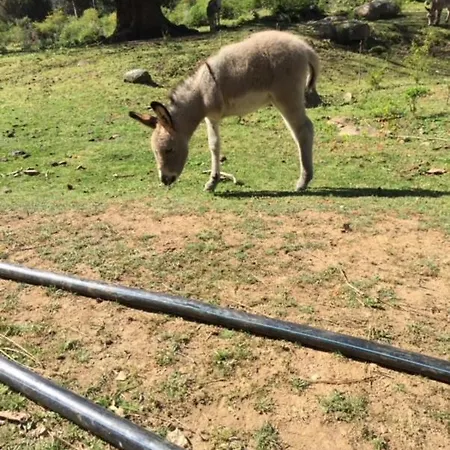Colombo- Porto Corse 호텔 Porto (Corsica)