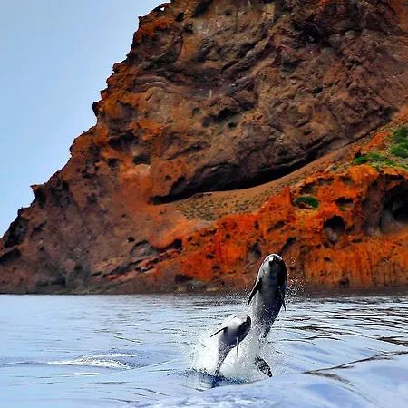Colombo- Porto Corse