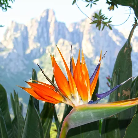 호텔 Colombo- Porto Corse 2*