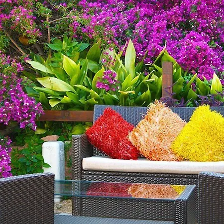 Colombo- Porto Corse