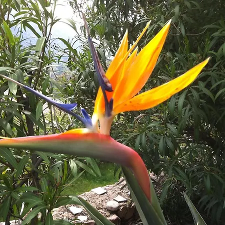 Colombo- Porto Corse