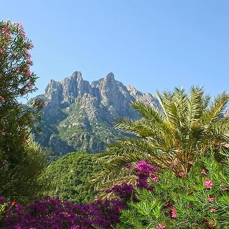 Отель Colombo- Porto Corse