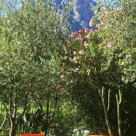 Colombo- Porto Corse