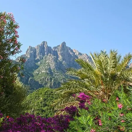 Colombo- Porto Corse Porto (Corsica)