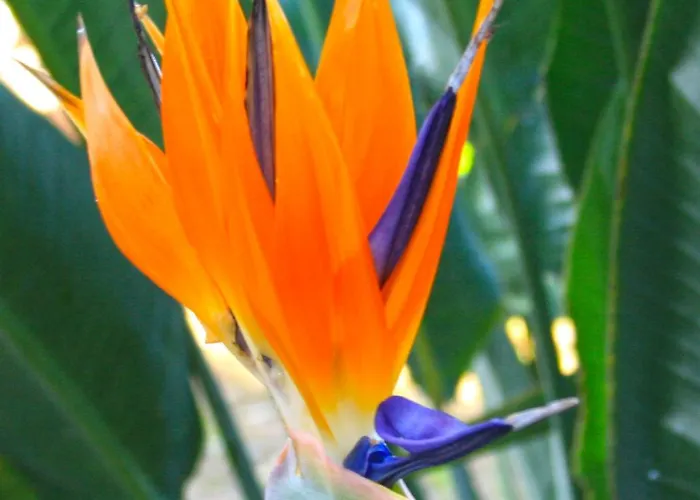 Hotel Colombo- Porto Corse 2*