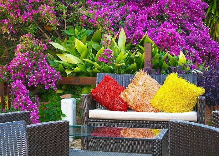 Colombo- Porto Corse