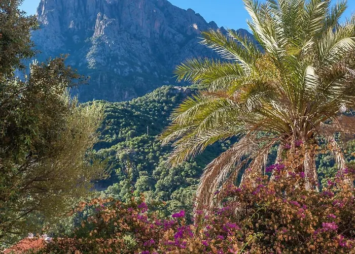 Colombo- Porto Corse Porto (Corsica)