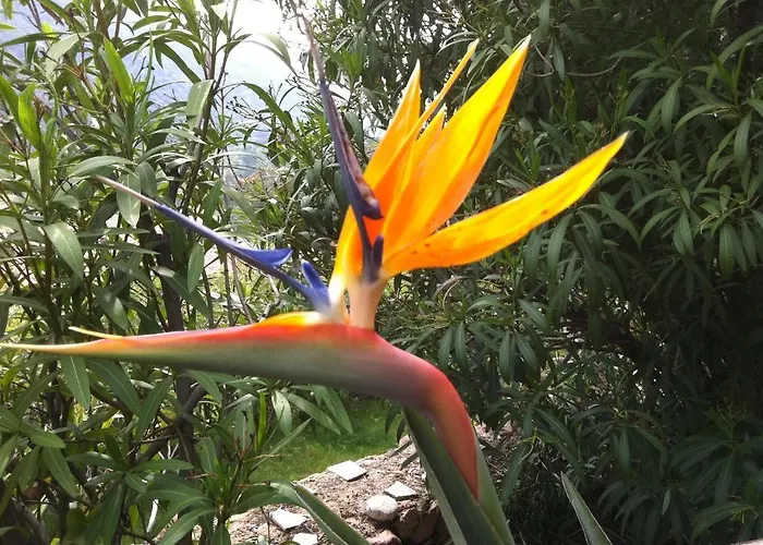 Colombo- Porto Corse